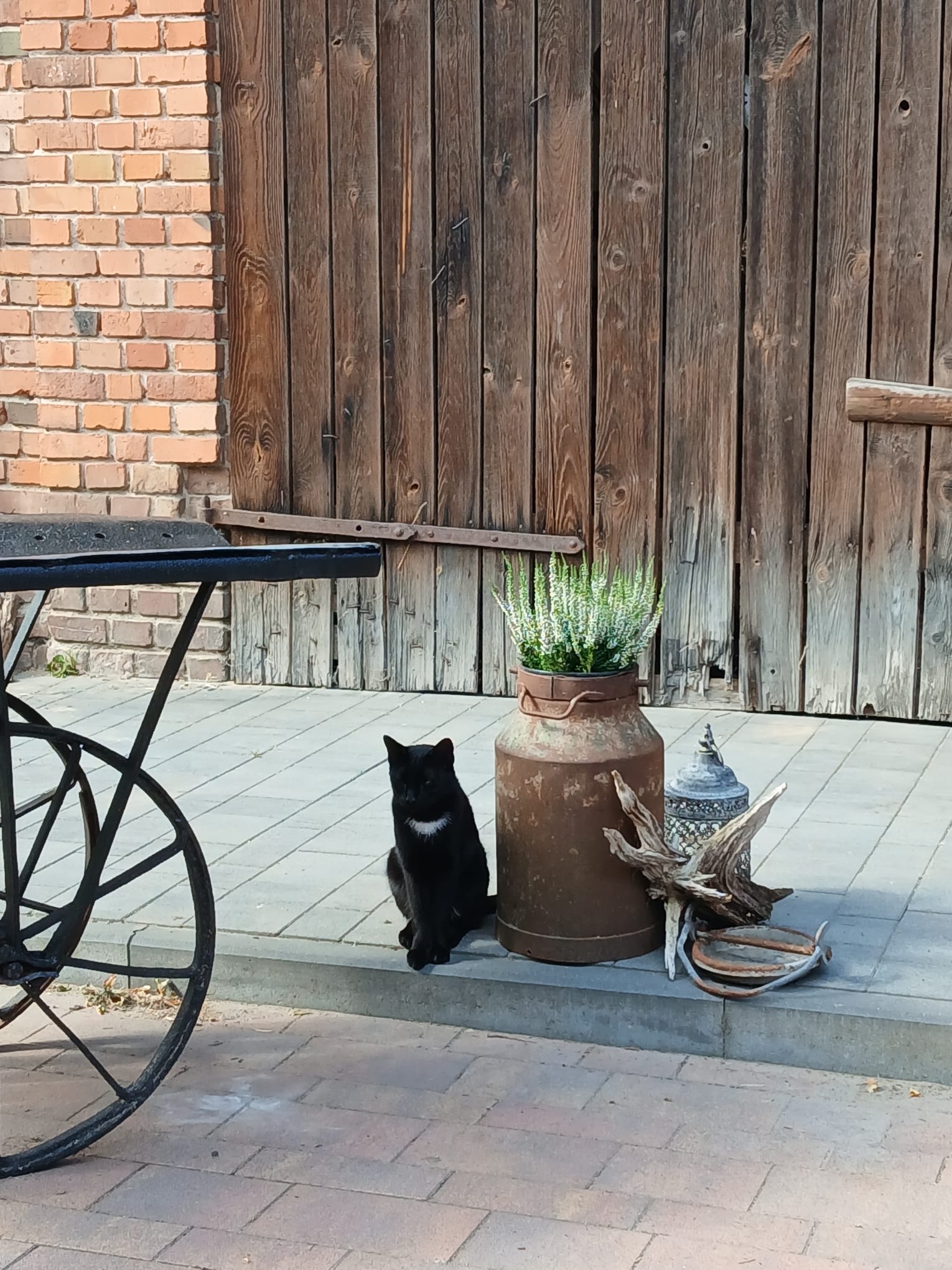 Innovation in the Renaissance Workshop