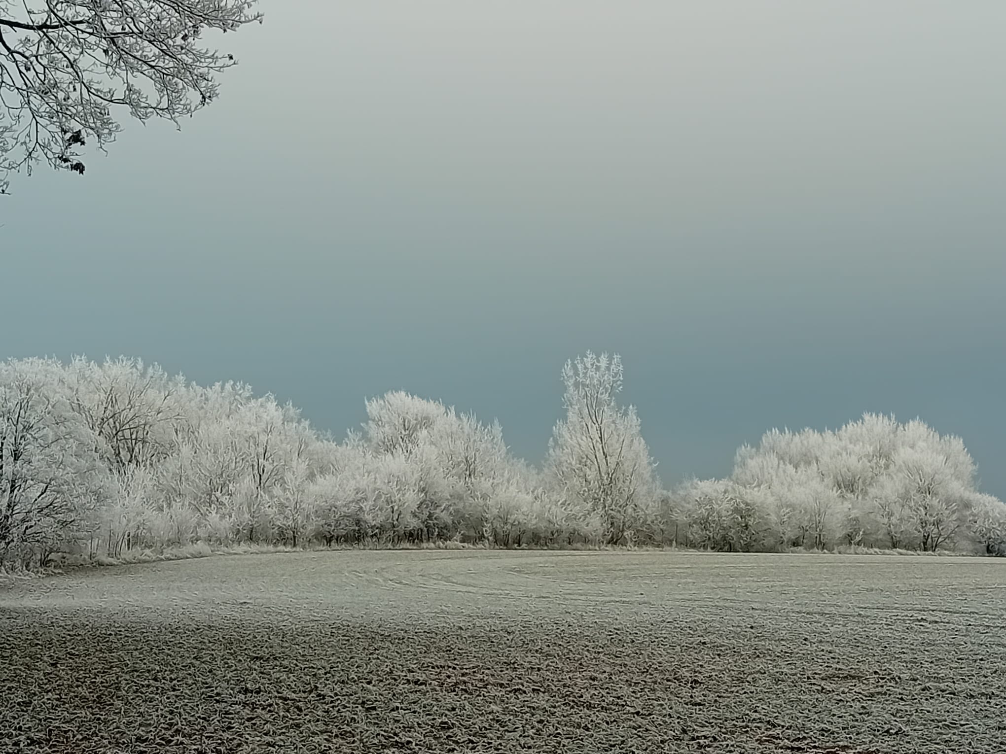 The Good Day Pottery Retreat – Winter Update